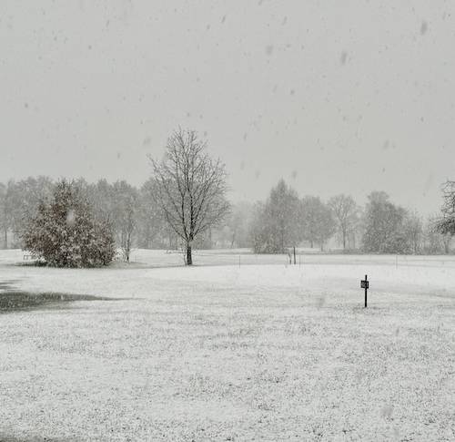 Eerste sneeuwbuien 2024